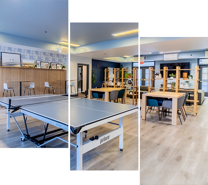 Pingpong table